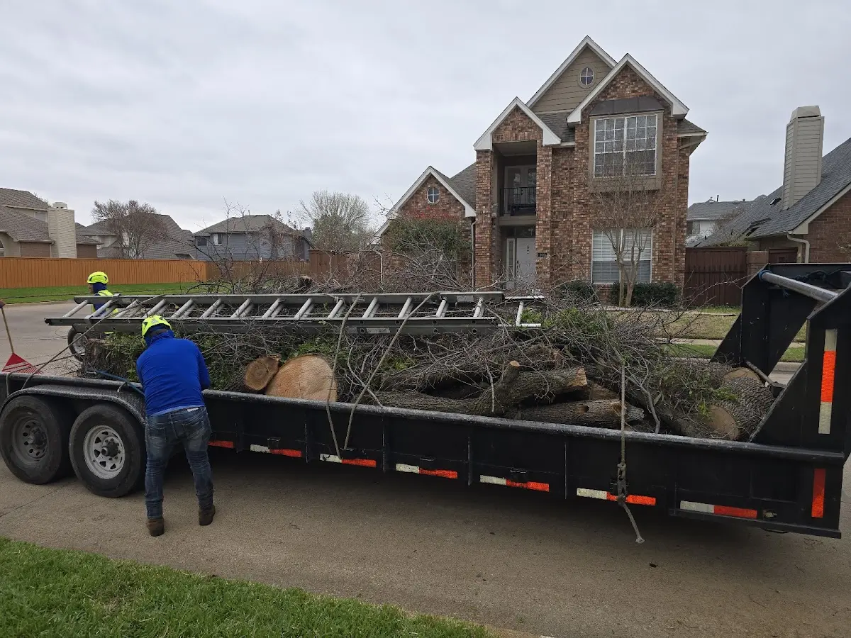 Expert Tree Fertilization with proper safety equipment in Big Creek